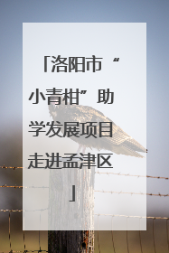 洛阳市“小青柑”助学发展项目走进孟津区