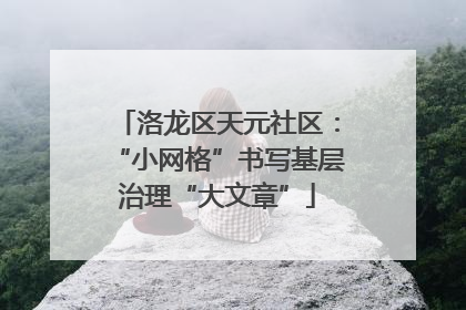 洛龙区天元社区：“小网格”书写基层治理“大文章”