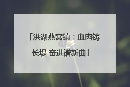 洪湖燕窝镇：血肉铸长堤 奋进谱新曲