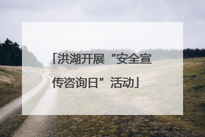 洪湖开展“安全宣传咨询日”活动