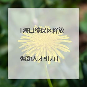 海口综保区释放强劲人才引力