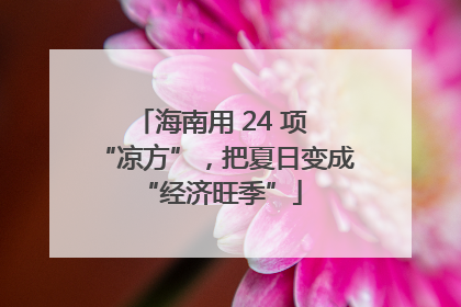 海南用 24 项 “凉方”，把夏日变成 “经济旺季”