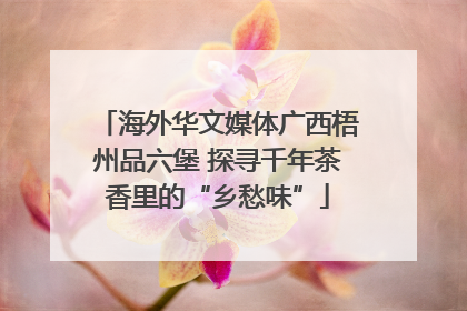 海外华文媒体广西梧州品六堡 探寻千年茶香里的“乡愁味”