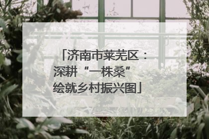 济南市莱芜区：深耕“一株桑” 绘就乡村振兴图