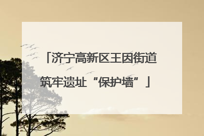 济宁高新区王因街道筑牢遗址“保护墙”