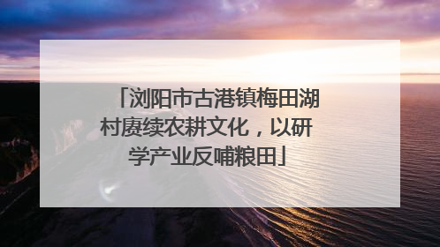 浏阳市古港镇梅田湖村赓续农耕文化，以研学产业反哺粮田