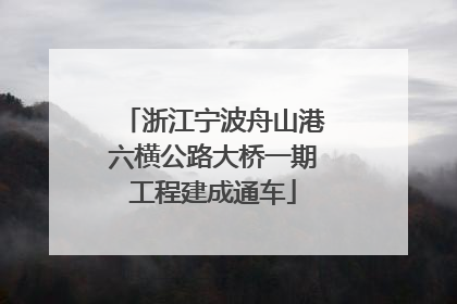 浙江宁波舟山港六横公路大桥一期工程建成通车