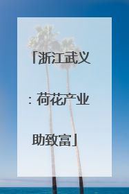 浙江武义：荷花产业助致富