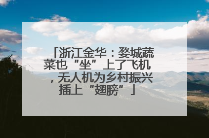浙江金华：婺城蔬菜也“坐”上了飞机，无人机为乡村振兴插上“翅膀”