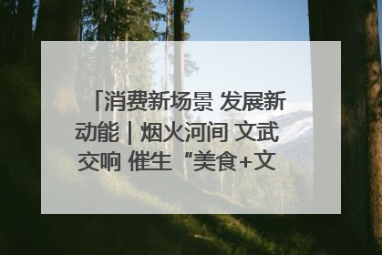 消费新场景 发展新动能｜烟火河间 文武交响 催生“美食+文化”消费新场景