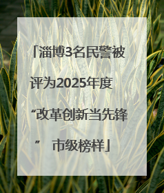 淄博3名民警被评为2025年度“改革创新当先锋” 市级榜样