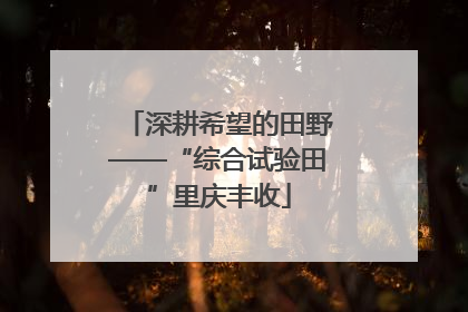 深耕希望的田野——“综合试验田”里庆丰收