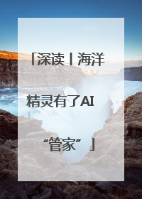深读丨海洋精灵有了AI“管家”