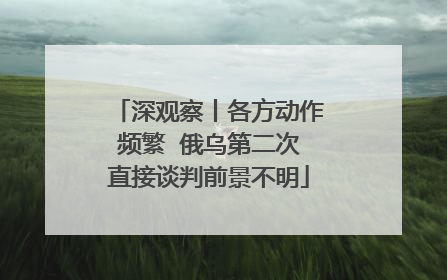 深观察丨各方动作频繁  俄乌第二次直接谈判前景不明