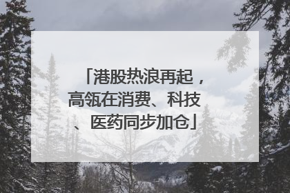 港股热浪再起，高瓴在消费、科技、医药同步加仓