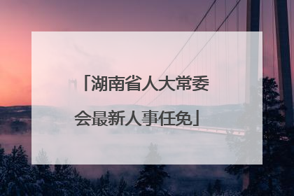 湖南省人大常委会最新人事任免