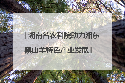 湖南省农科院助力湘东黑山羊特色产业发展
