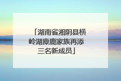 湖南省湘阴县横岭湖麋鹿家族再添三名新成员