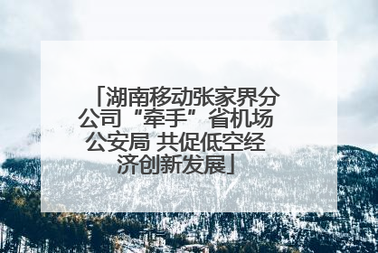湖南移动张家界分公司“牵手”省机场公安局 共促低空经济创新发展