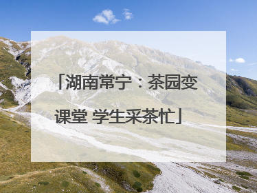 湖南常宁：茶园变课堂 学生采茶忙
