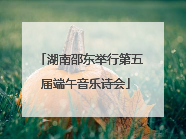 湖南邵东举行第五届端午音乐诗会