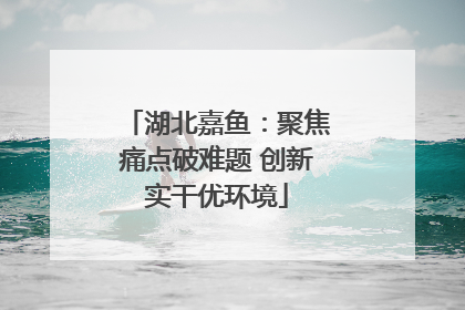 湖北嘉鱼：聚焦痛点破难题 创新实干优环境
