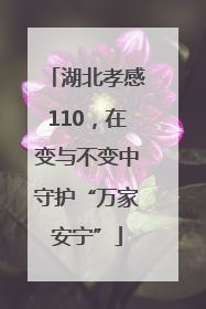 湖北孝感110，在变与不变中守护“万家安宁”