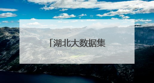湖北大数据集团正式成立