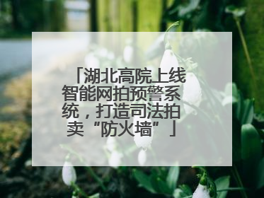 湖北高院上线智能网拍预警系统，打造司法拍卖“防火墙”