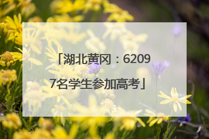 湖北黄冈：62097名学生参加高考