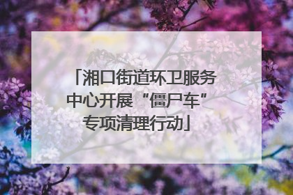 湘口街道环卫服务中心开展“僵尸车”专项清理行动