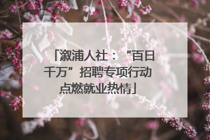 溆浦人社：“百日千万”招聘专项行动点燃就业热情