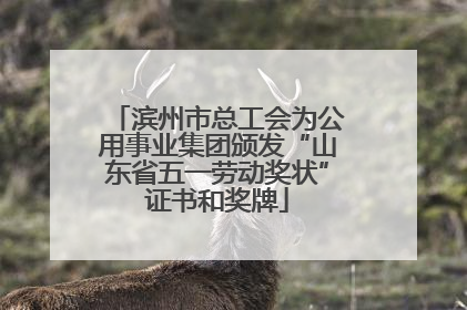 滨州市总工会为公用事业集团颁发“山东省五一劳动奖状”证书和奖牌