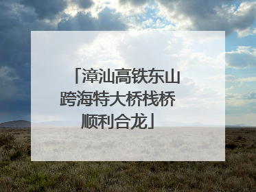 漳汕高铁东山跨海特大桥栈桥顺利合龙
