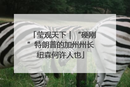 莹观天下｜“硬刚”特朗普的加州州长纽森何许人也