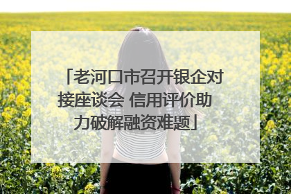老河口市召开银企对接座谈会 信用评价助力破解融资难题