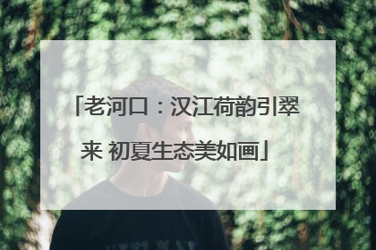 老河口：汉江荷韵引翠来 初夏生态美如画