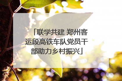 联学共建 郑州客运段高铁车队党员干部助力乡村振兴