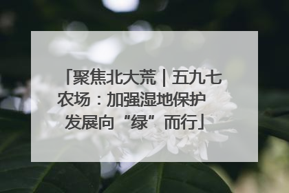 聚焦北大荒｜五九七农场：加强湿地保护 发展向“绿”而行