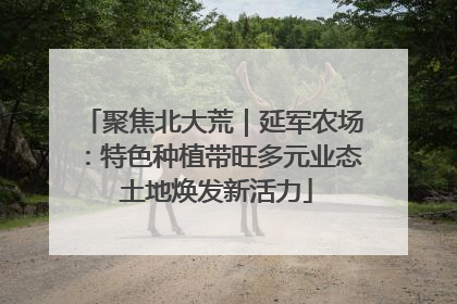 聚焦北大荒｜延军农场：特色种植带旺多元业态 土地焕发新活力