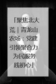 聚焦北大荒｜青龙山农场：党建引领聚合力 为民服务践初心