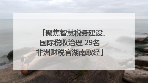 聚焦智慧税务建设、国际税收治理 29名非洲财税官湖南取经