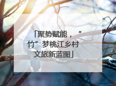 聚势赋能，“竹”梦桃江乡村文旅新蓝图