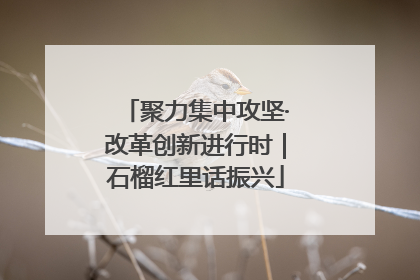 聚力集中攻坚·改革创新进行时｜石榴红里话振兴