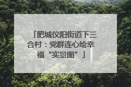 肥城仪阳街道下三合村：党群连心绘幸福“实景图”