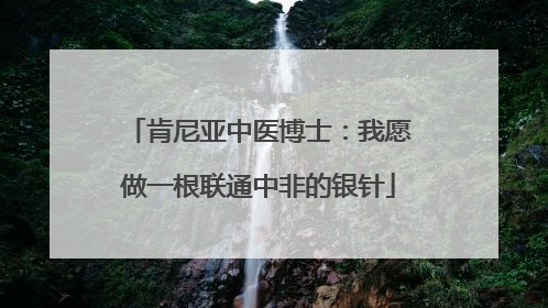 肯尼亚中医博士：我愿做一根联通中非的银针