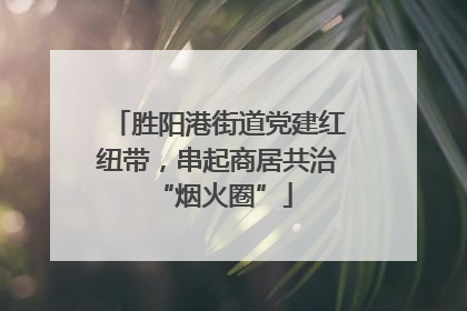 胜阳港街道党建红纽带，串起商居共治 “烟火圈”