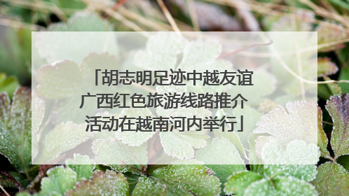 胡志明足迹中越友谊广西红色旅游线路推介活动在越南河内举行