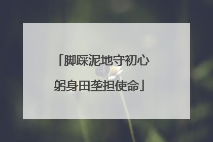 脚踩泥地守初心 躬身田垄担使命