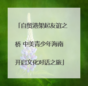 自贸港架起友谊之桥 中美青少年海南开启文化对话之旅